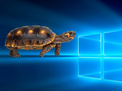 ñʧ΢Win10¸Bug