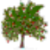 WinDirStatļߣV1.1.2 ٷ