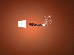ҹ⡱΢Win10 RS5Ԥ17733