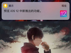ƻiOS 12¹Ԥʾ