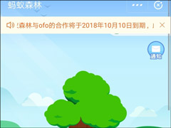 ڣ1010պofoСƳ޷ٻɭ