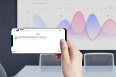 ΪMate 20 Pro֧ƶ֧/
