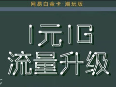 1Ԫ1GB/ȫװ׽𿨡ֻ