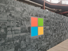 ΢Microsoft Walleµ