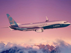 񺽻̸737 MAXϵ