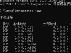 Win10ϵͳβ鿴˿ڱռ
