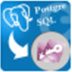 PostgresToAccess(ݿת) V2.3