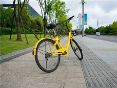 ofo˳ԺƳ