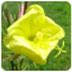 Alternate Splitter(ļϲֹ) V1.730 ԰װ