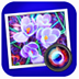 Spektrel Art V1.1.0ٷ