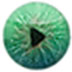 Kinovea(֡) V0.8.15