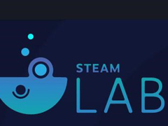 SteamAIƽϷ