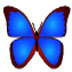 BkViewer(Ƭ) V7.0 ٷ°