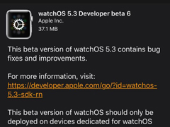 ƻųwatchOS 5.3 Beta 6Ԥ¹̼