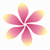 Petal(FMͻ) V2.17.0 ٷ