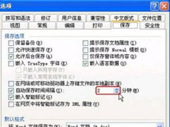 Word2003Զ棿Զķ