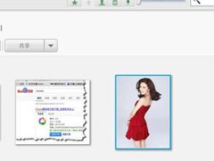 Google PicasaôͼƬƳǦЧ