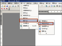 Word2003ĳԶͼƬ޸ĴС