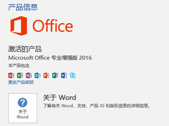 ô鿴Office2016Ƿ񼤻ü鿴