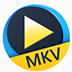 Aiseesoft Free MKV Player(MKV) V6.6.10 Ӣİװ