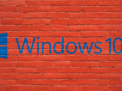 ΢Win10 20H1Ԥ19002־
