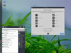ΪPatito FeoMX Linux 19ʽ