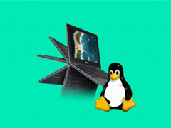 ȸ⽫Debian 10ΪChrome OSĬLinux