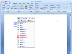 Word2007ճַӣ2