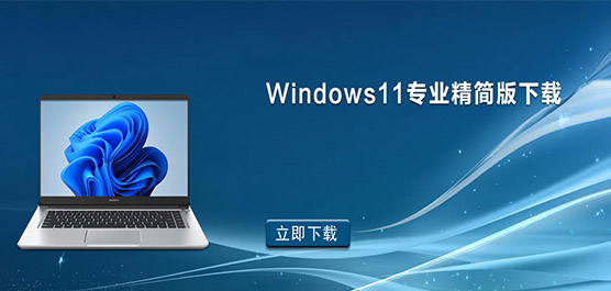 Win11С