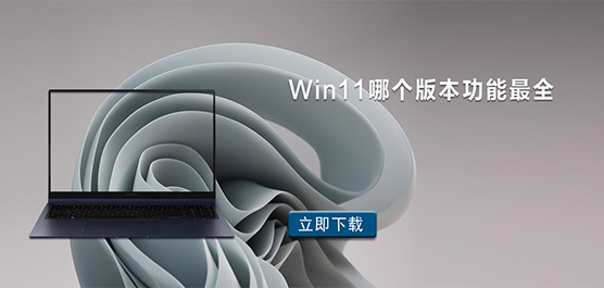 Windows11ĸ汾ȫWin11