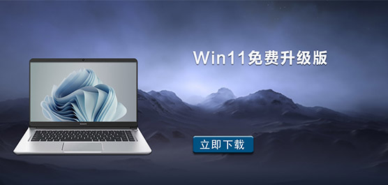 Win11