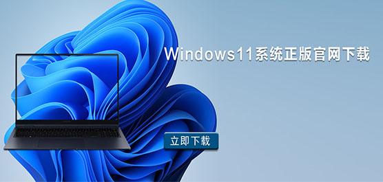 Windows11ϵͳ