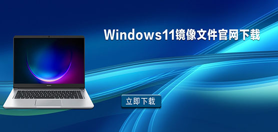 Win11ϵͳ