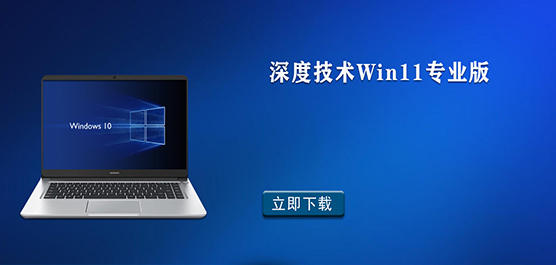 ȼWin11רҵ