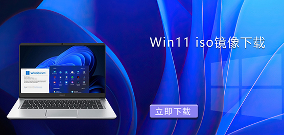Window11ϵͳ����-Win11 iso��������