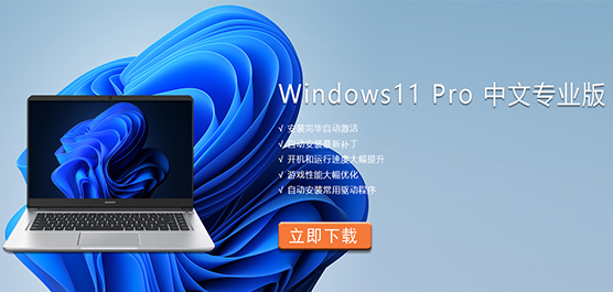 Win11专业版 Windows11 Pro Win11中文专业版