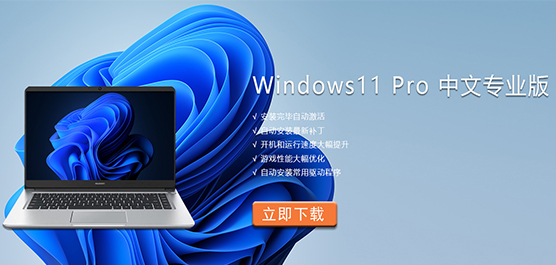 Win11רҵ Windows11 Pro Win11