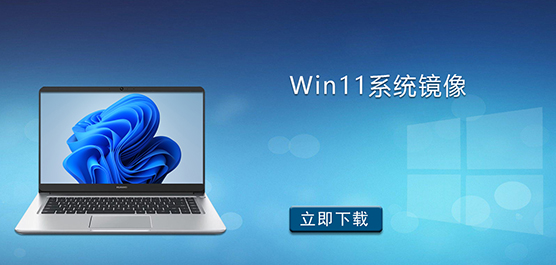 Win11ϵͳ