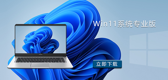 Win11ϵͳרҵ