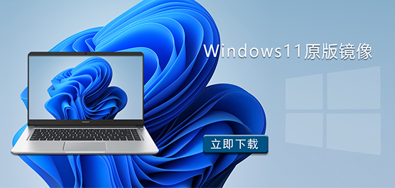 Windows11原版镜像下载_Windows11专业版原版镜像下载