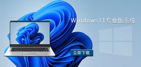 Win11רҵ-Windows11רҵϵͳ
