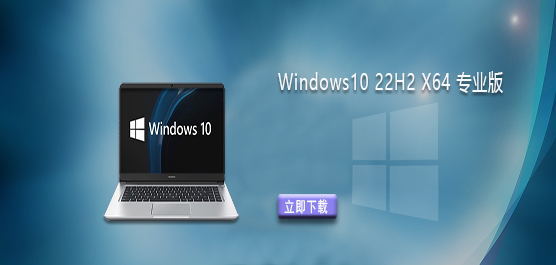 Win10 22H2ϵͳ-Windows10 22H2 X64 רҵ