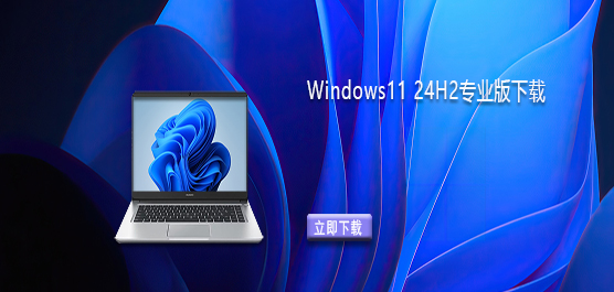 Windows11ϵͳ-Windows11 24H2רҵ