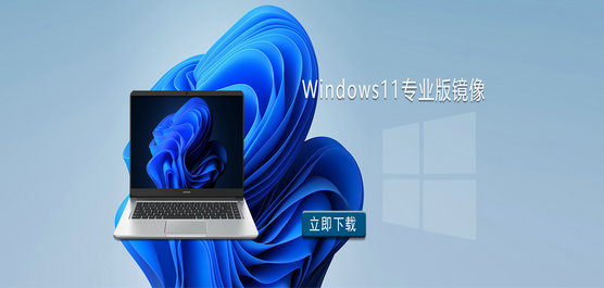 Win11ļ-Windows11רҵ澵