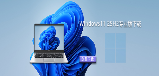 Windows11isoļ-Windows11 25H2רҵ