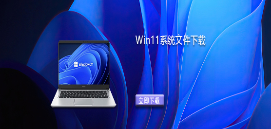 Windows11�����ļ�����-Win11ϵͳ�ļ�����
