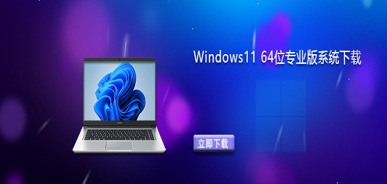 Windows11ϵͳ����-Windows11 64λרҵ��ϵͳ����