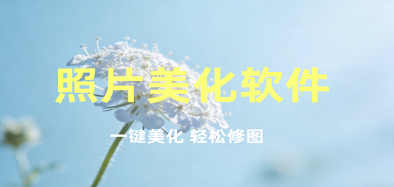 ��Ƭ��������