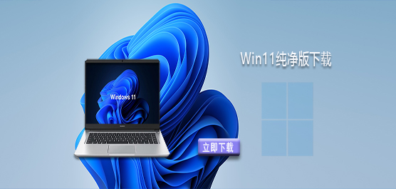 Win11����������-������Win11����������