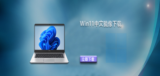 Win11�������İ氲װ������-Win11���ľ������ش�ȫ